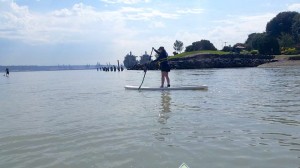 SUP boarding is a fun and challenging way to enjoy a day on the water. 