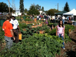 Citizens, neighbors, and friends are connected through the 70 community gardens, over 100 gleaning events, or dozens of workshops, events, and classes. 