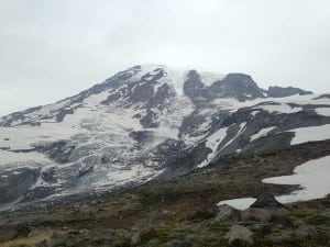 View of Mount Rainier from the highest point on the Skyline Trail. Photo credit: Courtney Murphy. 
