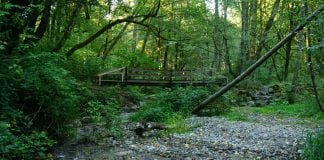 Swan Creek Hiking Trails