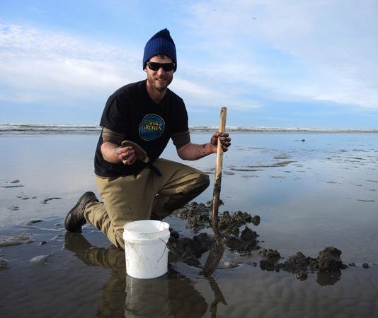 Digging razor clams
