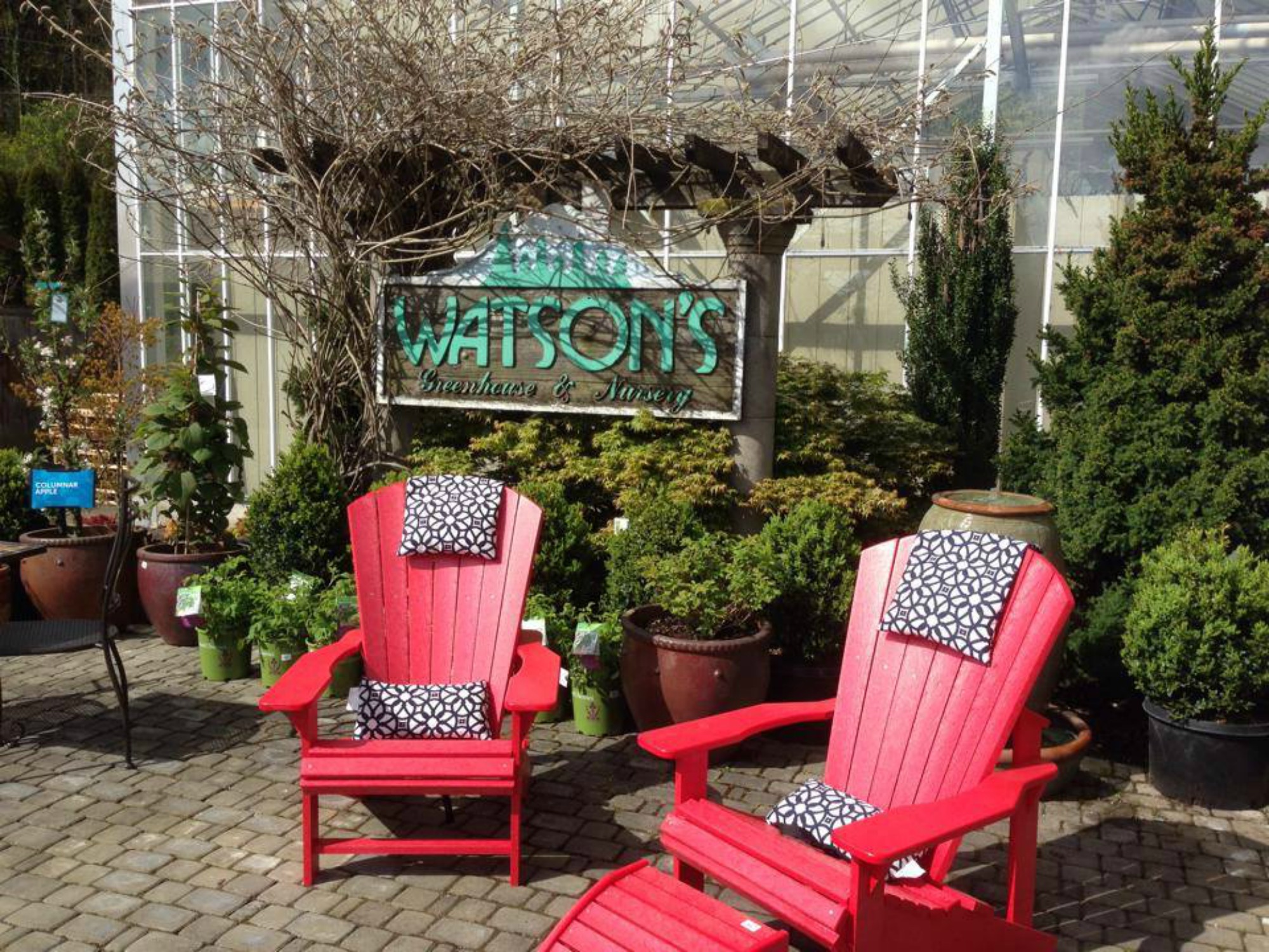 Watson S Greenhouse And Nursery Offers Plants Classes Events And