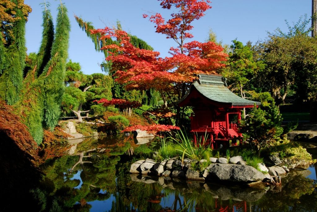 Fall at Tacoma's Japanese Garden