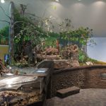 Tacoma Nature Center Exhibits