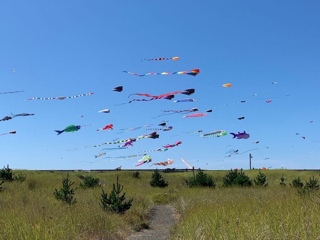 Grays Harbor Kites