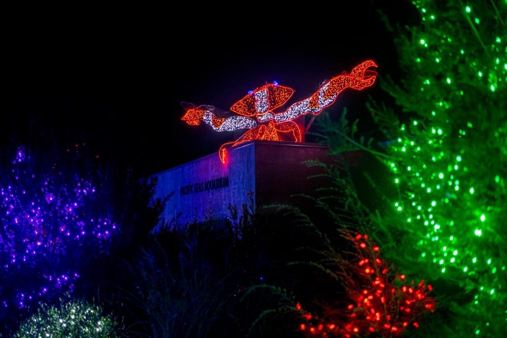 Pierce County holiday light displays