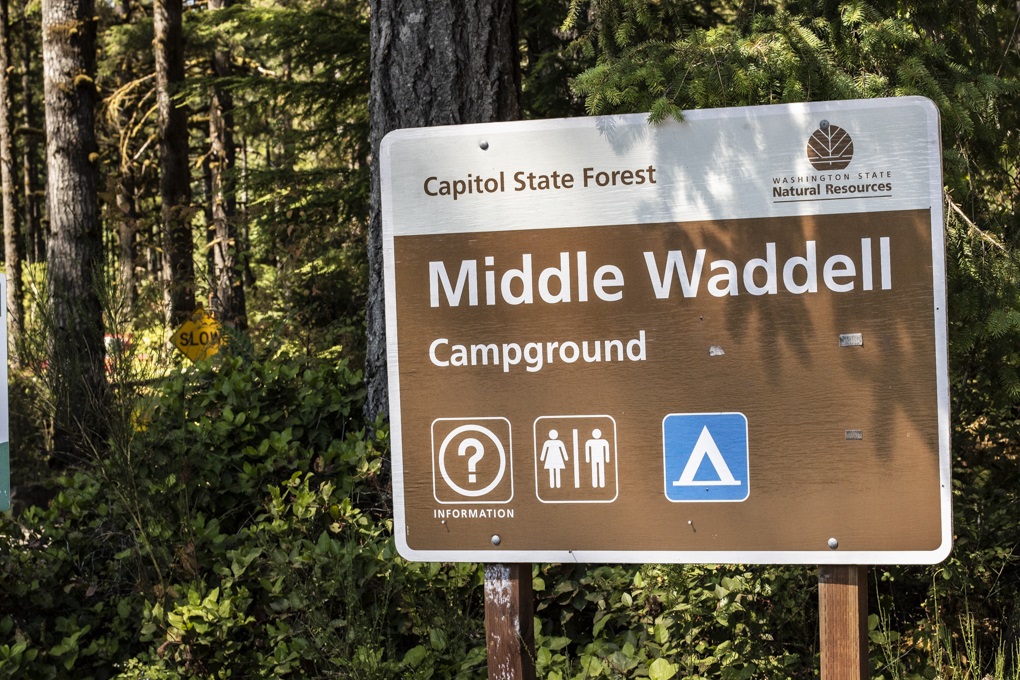 Capitol Forest Middle Waddell