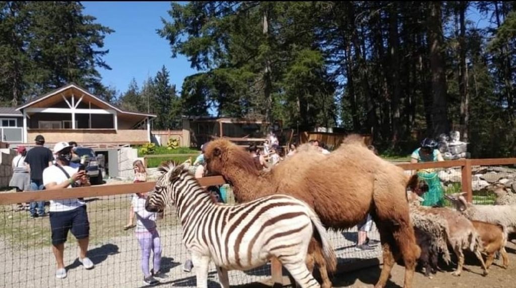 Wildlife Centers in South Sound