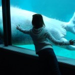 point defiance zoo