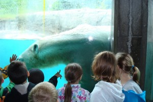 Marine Biologist for a Day - The South Pacific @ Point Defiance Zoo & Aquarium | Tacoma | Washington | United States