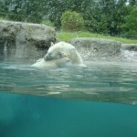 point defiance zoo