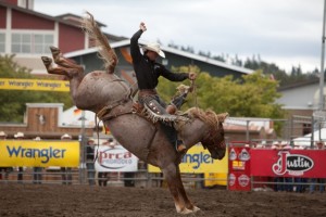 washington state fair