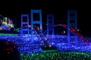 point defiance zoo lights