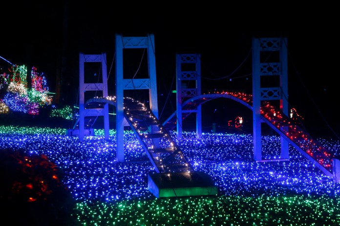 zoolights zoolights