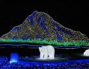 point defiance zoolights