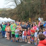 polar bear plunge