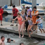 polar bear plunge