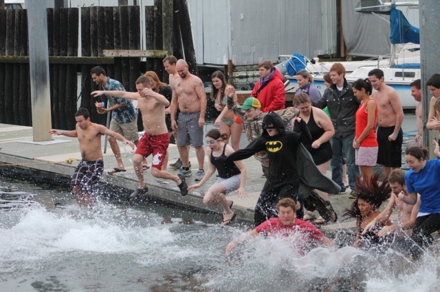 polar bear plunge