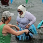 polar bear plunge