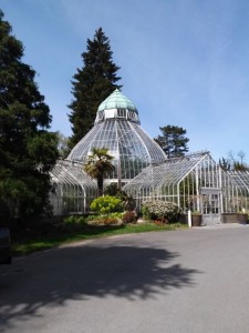 seymour conservatory