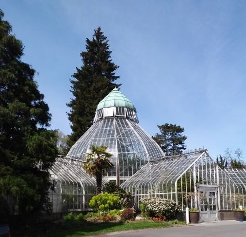 seymour conservatory