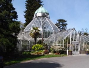 Lecture: History of the Conservatory & Wright Park @ W.W. Seymour Conservatory | Tacoma | Washington | United States