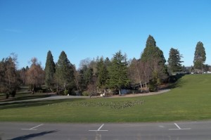 A sunny day at Point Defiance Park.