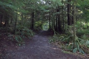 Family Nature Walk @ Swan Creek Park | Tacoma | Washington | United States