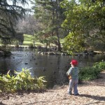 Point Defiance Park Duck Pond