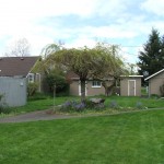 McKenna Kennels article – Outdoor Yard
