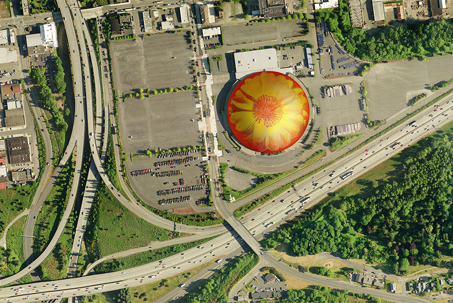 dome flower SouthSoundTalk