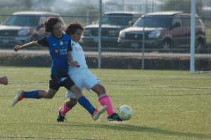 tacoma youth soccer