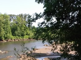 nisqually wlidlife refuge