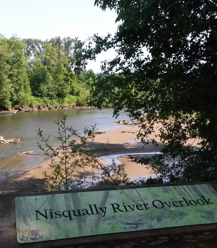 nisqually wlidlife refuge