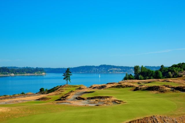 chambers bay golf