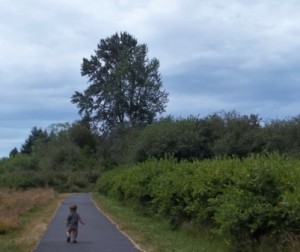 The paved path at Charlotte's Blueberry Park is bordered by bushes and grass, making for a lovely walk