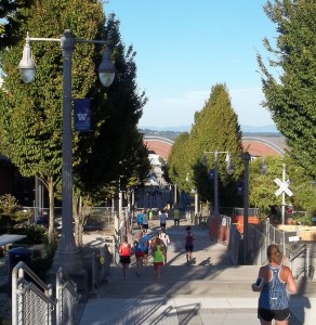Running down the stairs at the University of Washington is a nice break from Tacoma's hills.