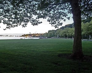 Cummings Park is a picnic-perfect location.