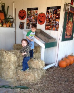 Corn mazes, farm animals, tours, hayrides and more make the simple task of selecting a pumpkin more like a day at a harvest fair.