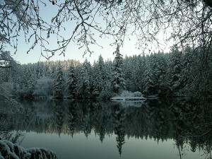 If you already have a Discover Pass, you can experience winter wonderlands like this one for yourself at Lake Sylvia State Park. Photo courtesy of Washington State Parks.