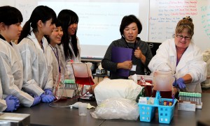 CPTC’s Medical Laboratory Technician lab assistant PeriSue Harshbarger demonstrates a blood draw to students from Osaka Jikei College.