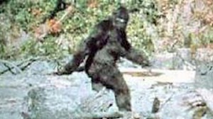 Screenshot of the famous Patterson-Gimlin video. Image from Sasquatch Summit.