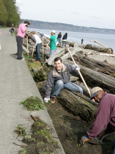 Ever wondered how those beaches stay so pristine? These Metro Parks volunteers know. Come together to keep the South Sound's shoreline clean and beautiful. Photo courtesy of Metro Parks. 