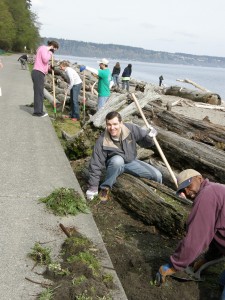 Ever wondered how those beaches stay so pristine? These Metro Parks volunteers know. Come together to keep the South Sound's shoreline clean and beautiful. Photo courtesy of Metro Parks.