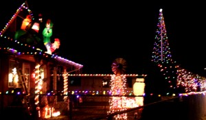 You'll want to pull over for this E Pioneer Ave gem in Puyallup. Never was there ever a roof so packed with holiday inflatables.