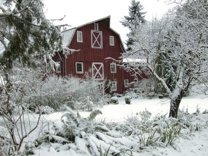 The Betty MacDonald Farm makes for a cozy winter stay on Vashon Island during the winter months – or any time of year. Photo credit: Judith Lawrence. 