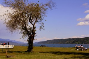 Potlatch State Park is a popular escape on Hood Canal.