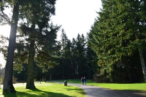 Everyone enjoys walking and jogging the 0.8-mile trail at Bradley Lake Park in Puyallup. Sunny days provide a gorgeous view of the lake and wildlife. 