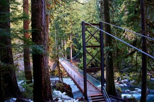The Staircase Loop is a perfect family-friendly hike on the Olympic Peninsula. Photo by Douglas Scott.