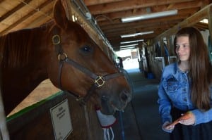 In today’s plug-and-play society, the skills necessary to work with horses--patience, critical thinking and physically hard work--are a model for the same skills needed to overcome physical and emotional challenges in life. Photo courtesy of Changing Rein/Doug Loates.